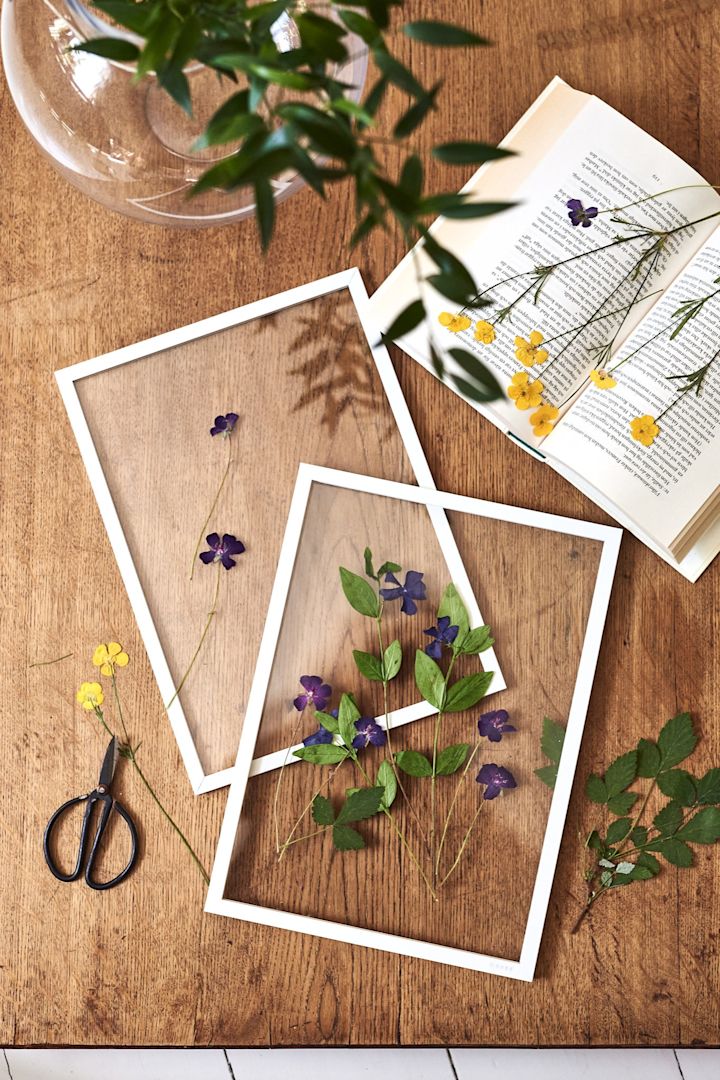 Summer bucket list tip number 9 - press summer flowers & frame them in white frames from Moebe.