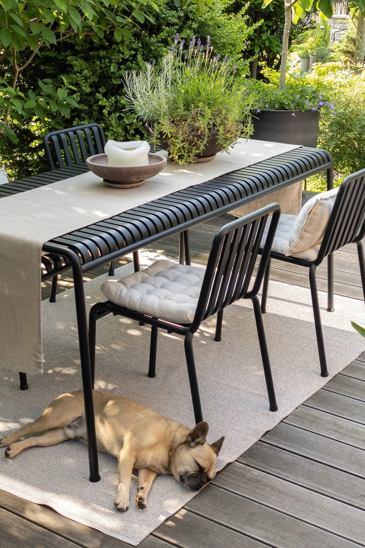 Outdoor dining area with a black slatted table, chairs with cushions, potted herbs, and a candle. A French Bulldog sleeps on a rug.